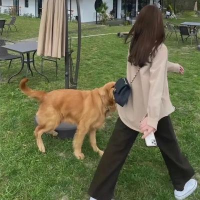 恶行